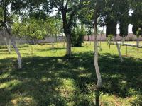 Finca-Rancho en venta en Trece de Marzo, Gómez Palacio — foto 3 de 18