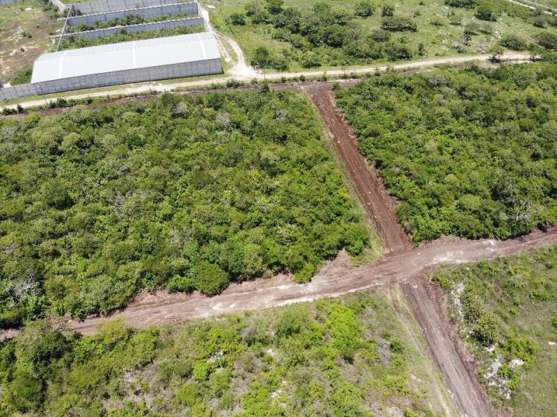 Terreno en venta en Berriozabal Centro, Berriozábal — foto 1 de 6