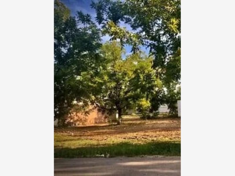 Terreno en Venta en San Armando, Torreón, Coahuila de Zaragoza