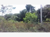 Terreno en venta en Leona Vicario, Puerto Morelos — foto 3 de 3