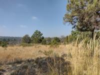 Terreno en venta en San Francisco Tlacuilohcan, Yauhquemehcan — foto 3 de 11