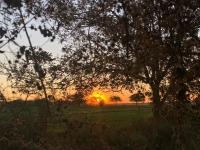 Terreno en venta en Rancho de Afuera, Matamoros — foto 2 de 9