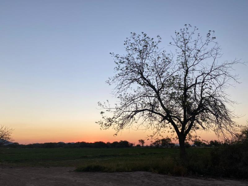 Terreno en venta en Rancho de Afuera, Matamoros — foto 1 de 9