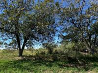 Terreno en venta en Rancho de Afuera, Matamoros — foto 3 de 9