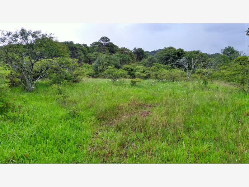 Terreno en venta en Valle de Bravo, Valle de Bravo — foto 1 de 15