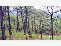 Terreno en venta en Valle de Bravo, Valle de Bravo — foto 3 de 15