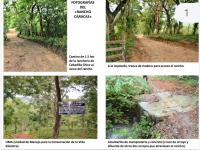 Finca-Rancho en venta en Comoapan, San Andrés Tuxtla — foto 2 de 9