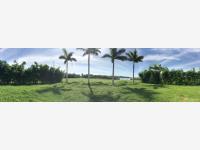 Terreno en venta en El Dorado Residencial, Boca del Río — foto 3 de 15
