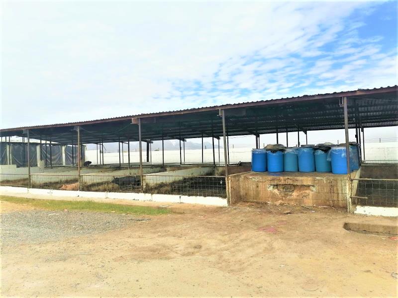 Bodega en Venta en Puente de la Torreña, Gómez Palacio, Durango