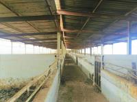 Bodega en venta en Puente de la Torreña, Gómez Palacio — foto 2 de 10