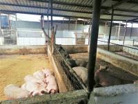 Bodega en venta en Puente de la Torreña, Gómez Palacio — foto 3 de 10