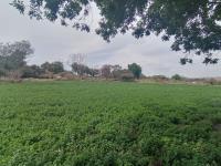 Terreno en venta en Tolometla de Benito Juárez, Atlixco, Puebla Terreno en venta en Tolometla de Benito Juárez, Atlixco, Puebla