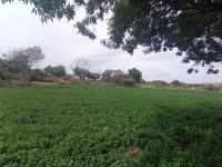 Terreno en venta en Tolometla de Benito Juárez, Atlixco — foto 2 de 3