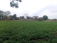Terreno en venta en Tolometla de Benito Juárez, Atlixco — foto 3 de 3
