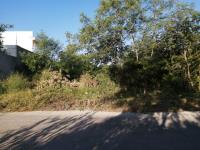 Terreno en venta en Merida (elefante Grande), Mérida — foto 3 de 3