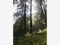 Terreno en venta en Purísima, Mineral del Monte — foto 2 de 25