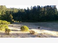Terreno en venta en Purísima, Mineral del Monte — foto 3 de 15