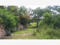 Terreno en venta en Izamal Centro, Izamal — foto 2 de 3