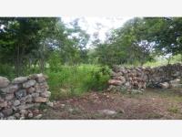 Terreno en venta en Izamal Centro, Izamal — foto 3 de 3