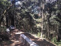 Terreno en venta en Pueblo Nuevo, Mineral del Monte — foto 2 de 16