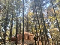 Terreno en venta en Purísima, Mineral del Monte — foto 3 de 17