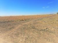 Terreno en venta en Maravillas, Matamoros — foto 2 de 5