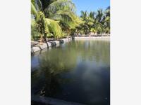 Finca-Rancho en venta en Coquimatlan, Coquimatlán — foto 3 de 4
