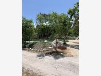 Terreno en venta en Puerto Aventuras, Solidaridad — foto 2 de 19
