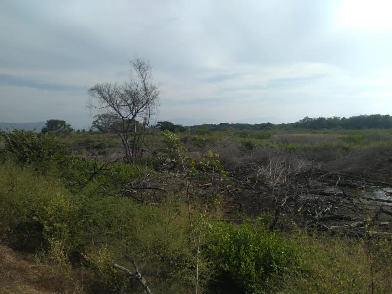 Terreno en venta en Cerro de Ortega, Tecomán