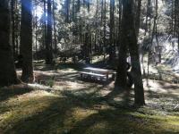 Terreno en Pueblo Nuevo, Mineral del Monte, Hidalgo