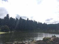 Terreno en venta en BOSQUE PARA CABAÑA, FRACC EXCLUSIVO CON AMENIDADES!, Mineral del Monte — foto 3 de 11