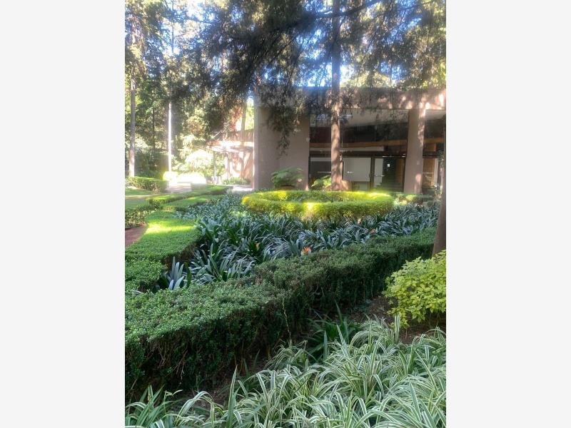 Departamento en venta en Jardines del Pedregal, Álvaro Obregón — foto 1 de 17