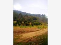 Terreno en venta en San Felipe Hidalgo, Nanacamilpa de Mariano Arista — foto 2 de 4