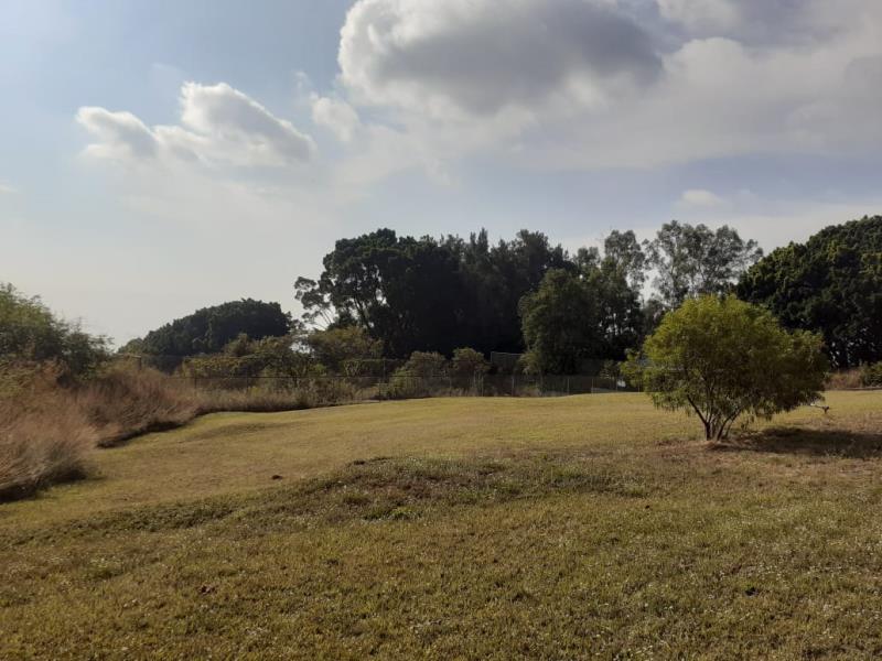 Terreno en venta en Del Bosque, Cuernavaca — foto 1 de 29