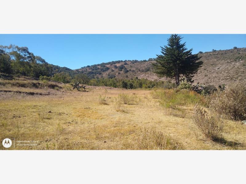 Terreno en venta en Aculco de Espinoza, Aculco — foto 1 de 17