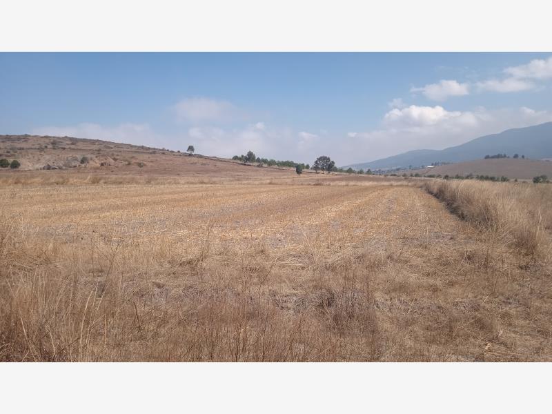 Terreno en venta en San Francisco Acazuchitlaltongo, Polotitlán — foto 1 de 9