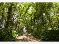 Finca-Rancho en venta en Rancho la Concha, Tepeji del Río de Ocampo — foto 3 de 15