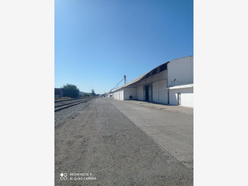 Bodega en renta en Industrial El Palmito, Culiacán — foto 1 de 8