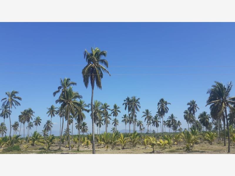 Terreno en venta en Cerro de Ortega, Tecomán