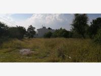 Terreno en venta en Obrajuelo, Apaseo El Grande — foto 3 de 12