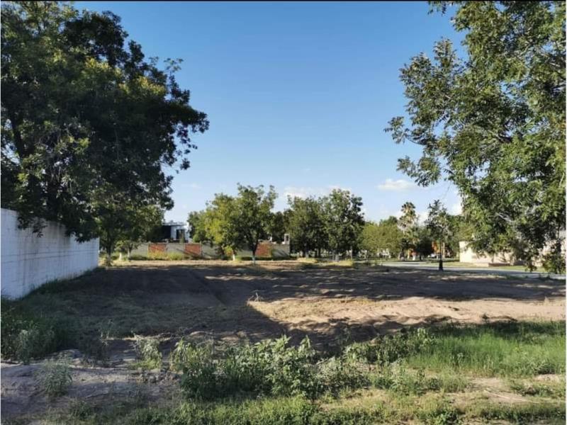 Terreno en Venta en San Armando, Torreón, Coahuila de Zaragoza