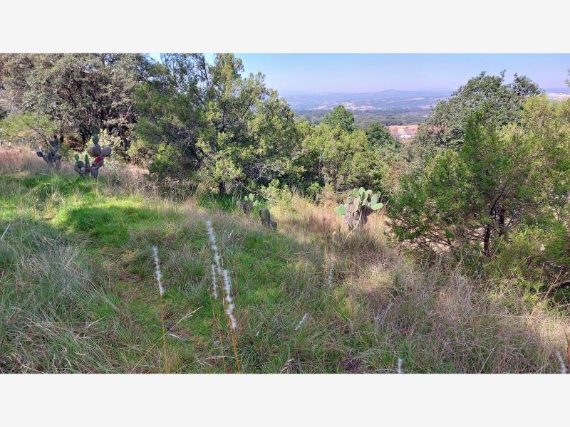 Terreno en venta en Centro, Cuaxomulco — foto 1 de 23