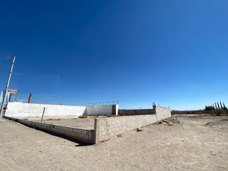 Terreno en Renta en Paso del Aguila, Torreón, Coahuila de Zaragoza