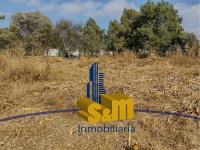 Terreno en venta en San Francisco Tlacuilohcan, Yauhquemehcan — foto 3 de 6