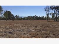 Terreno en venta en Fraccionamiento Las Fincas, San Miguel de Allende — foto 2 de 11