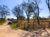 Terreno en venta en Santa Cruz, Berriozábal — foto 3 de 12