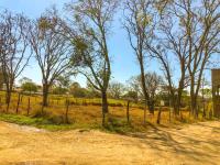Terreno en venta en Santa Cruz, Berriozábal, Chiapas