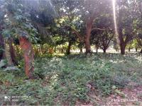 Finca-Rancho en venta en Potrerillo, Medellín de Bravo — foto 3 de 20