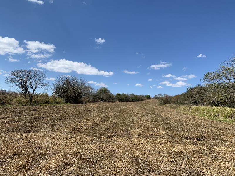 Terreno en venta en Guadalupe Victoria, Ocozocoautla de Espinosa — foto 1 de 6