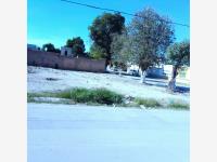 Terreno en renta en Villa de las Flores, Lerdo — foto 2 de 4